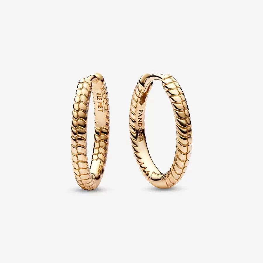 Small Charm Hoop Earrings