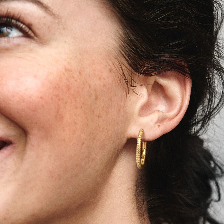 Charm Hoop Earrings Shine