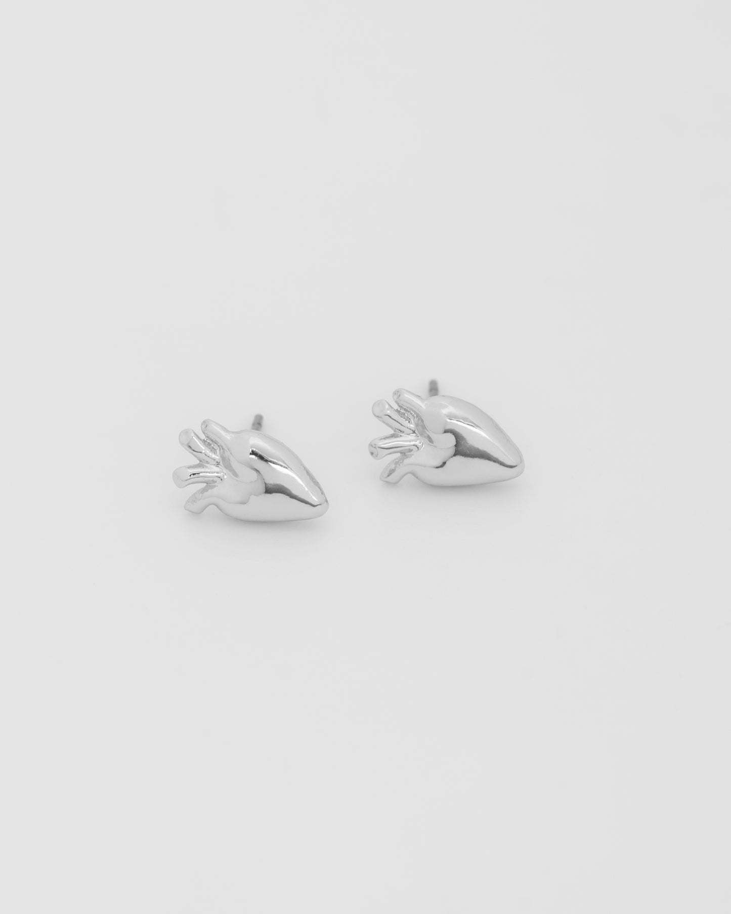 Aretes Corazón Anatómico Plata