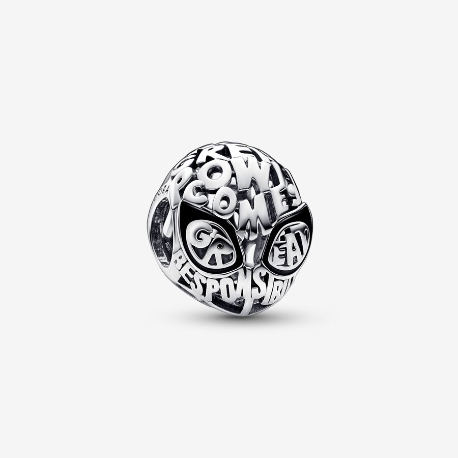 Spider-Man Mask Charm