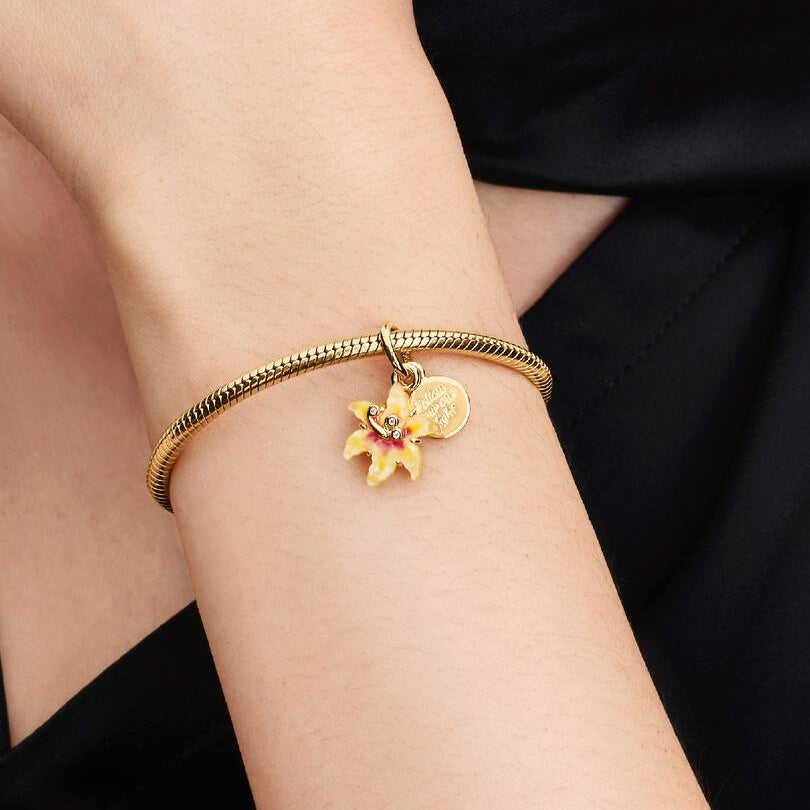 Tangled Sundrop Flower