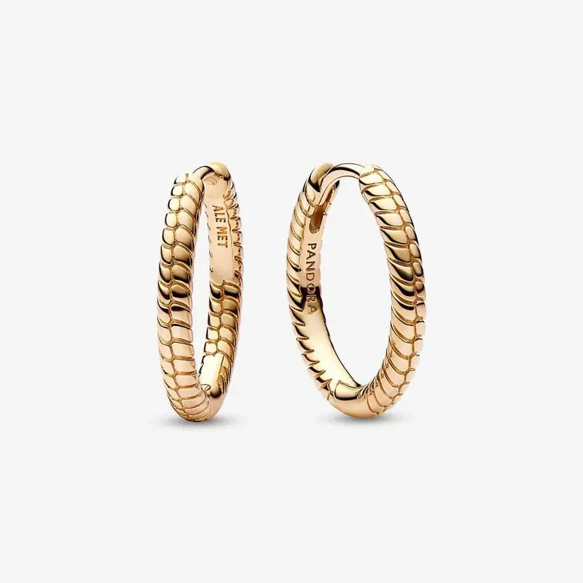 Small Charm Hoop Shine