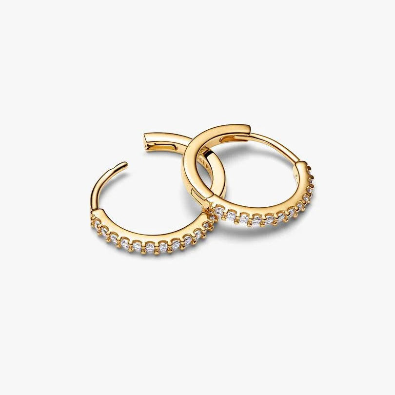 Sparkling Mini Hoop Shine