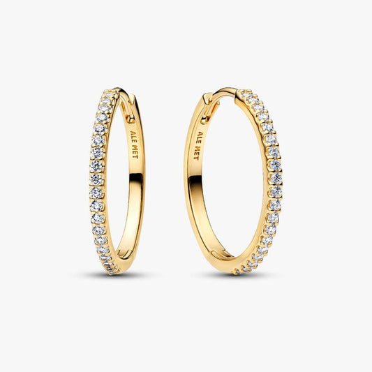 Sparkling Hoop Earrings