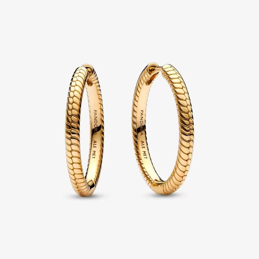 Charm Hoop Shine Earrings