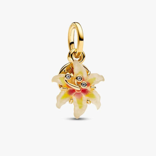 Tangled Sundrop Flower