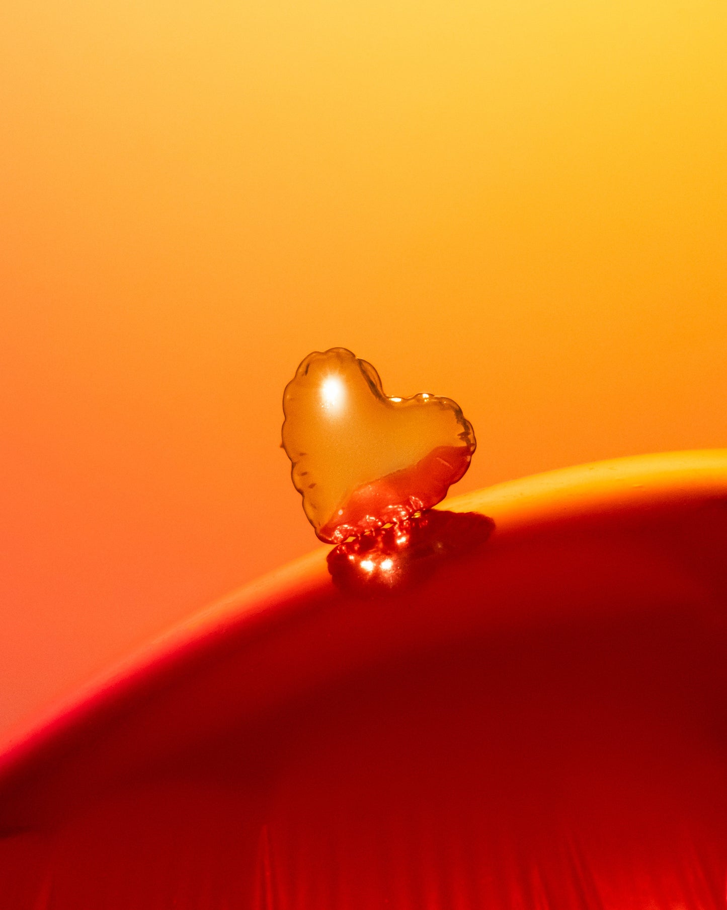 Anillo Corazón Globo