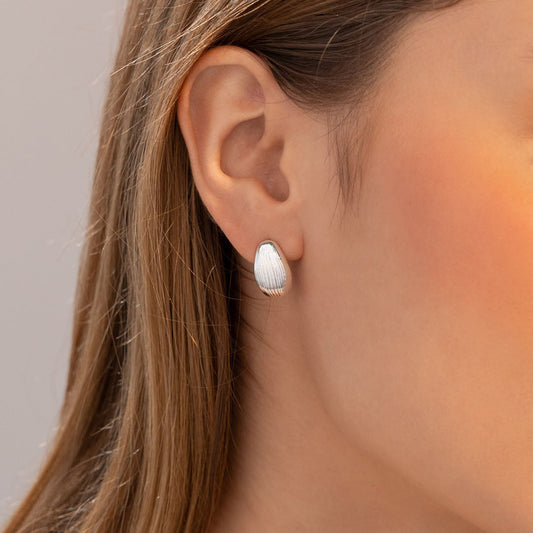 Aretes Hoja Plata