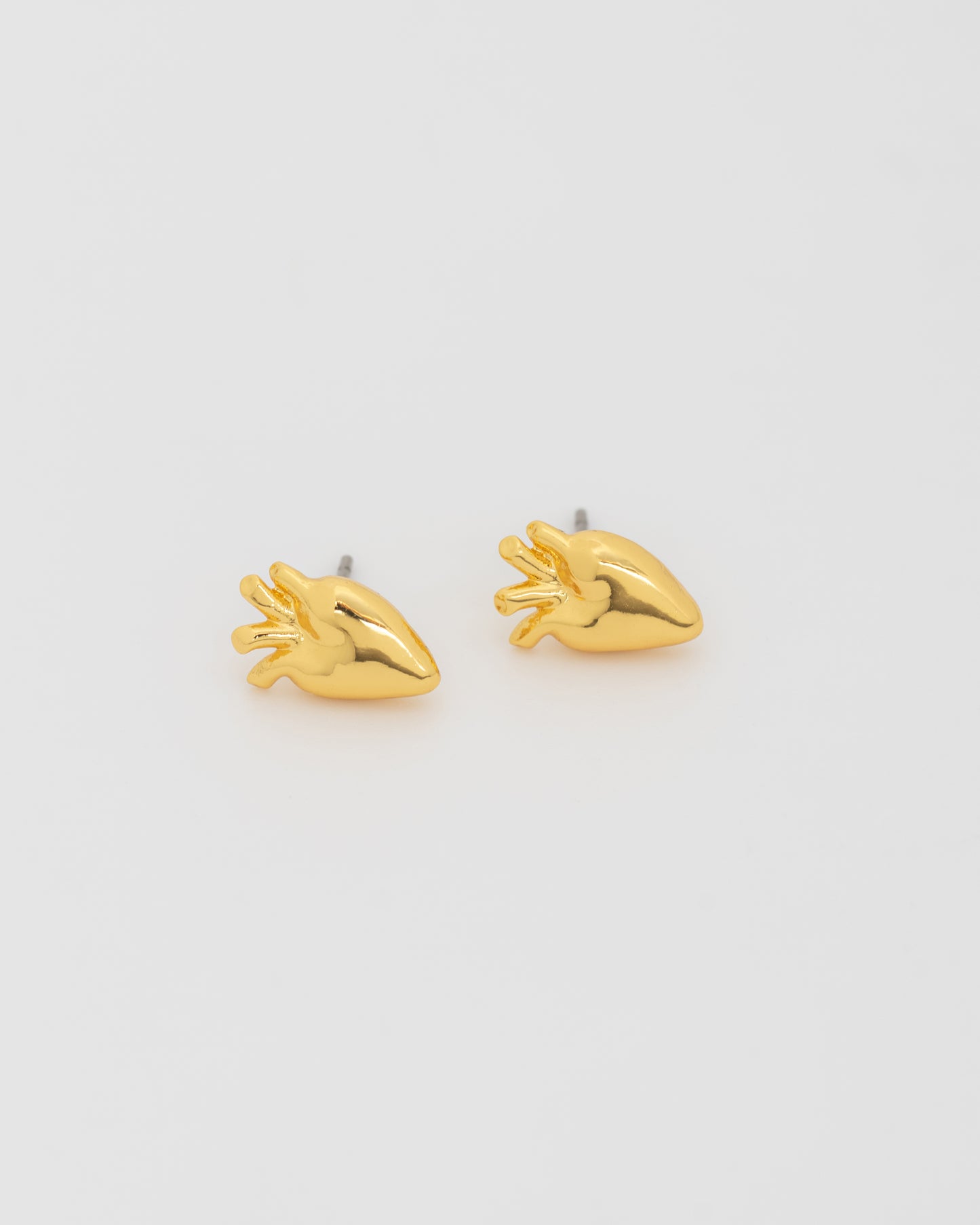 Aretes Corazón Anatómico Oro