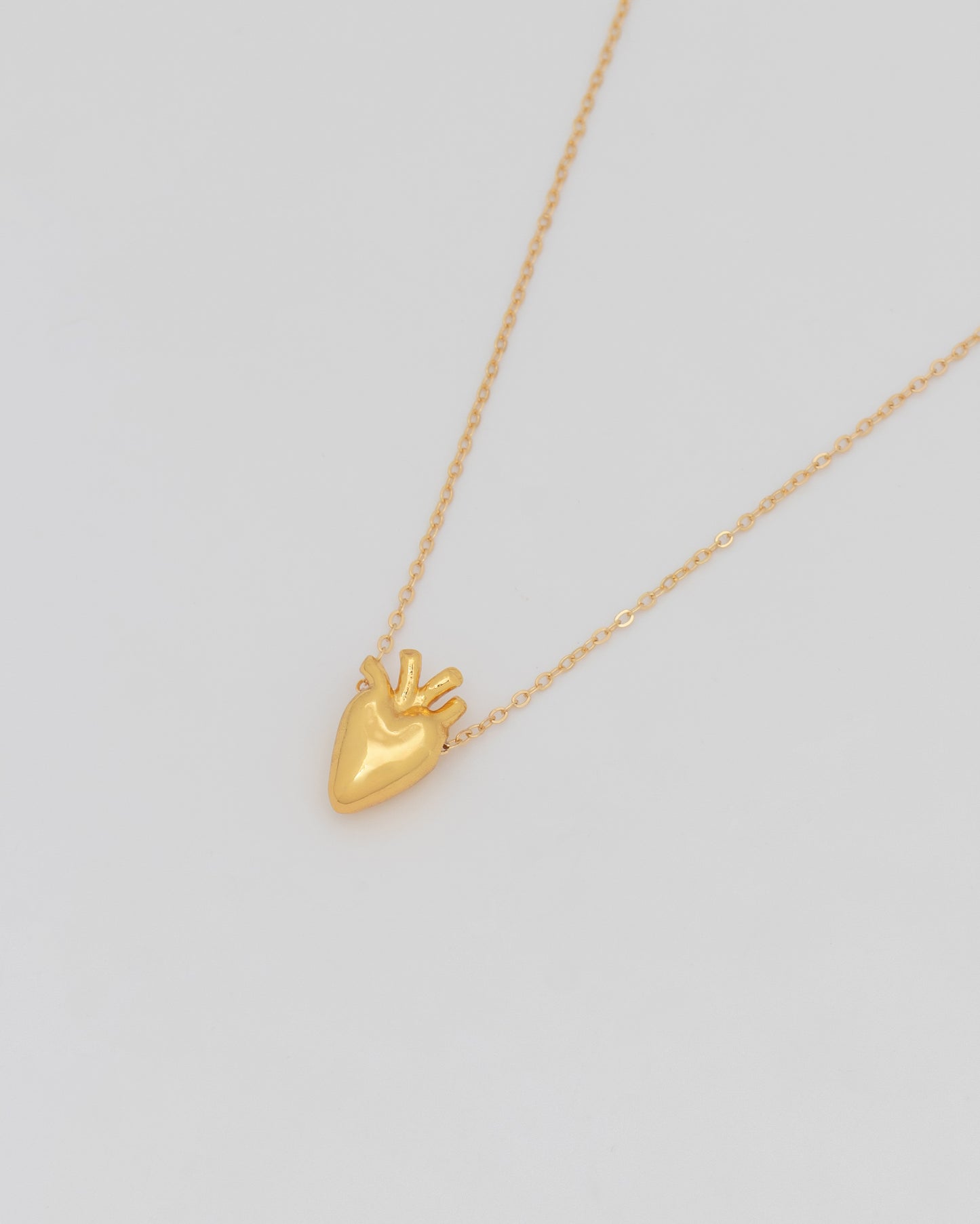 Collar Corazón Anatómico