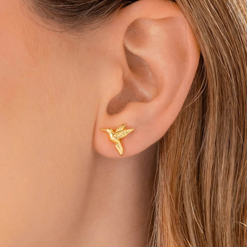 Aretes Colibri