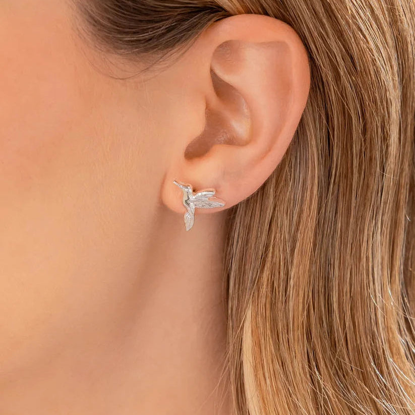 Aretes Colibri Plata