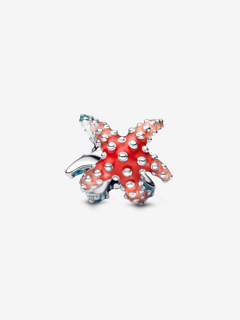 Colorful Starfish - 2
