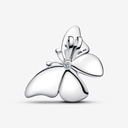 Oversized Butterfly - 2