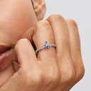 Sparkling Blue Butterfly 50 - 3