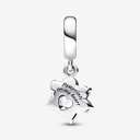 Sparkling Pet Paw Print Dangle - 2