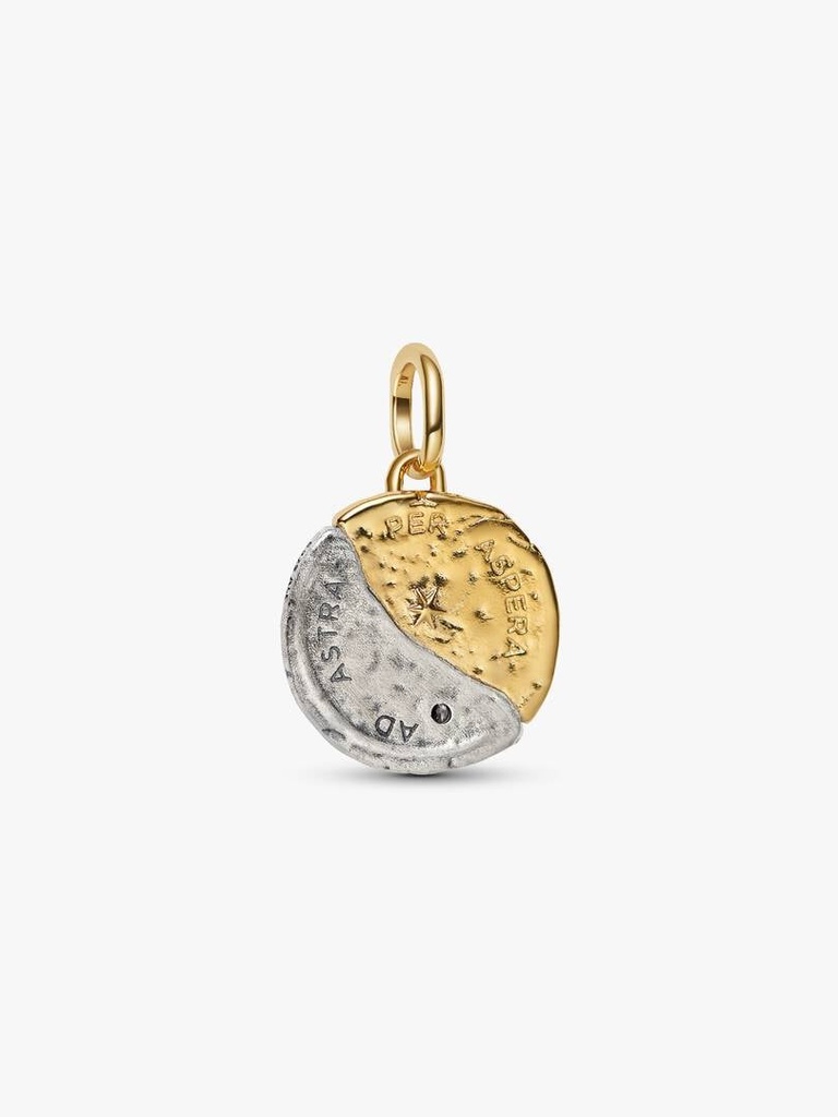 Sun and Moon Medallion - 2