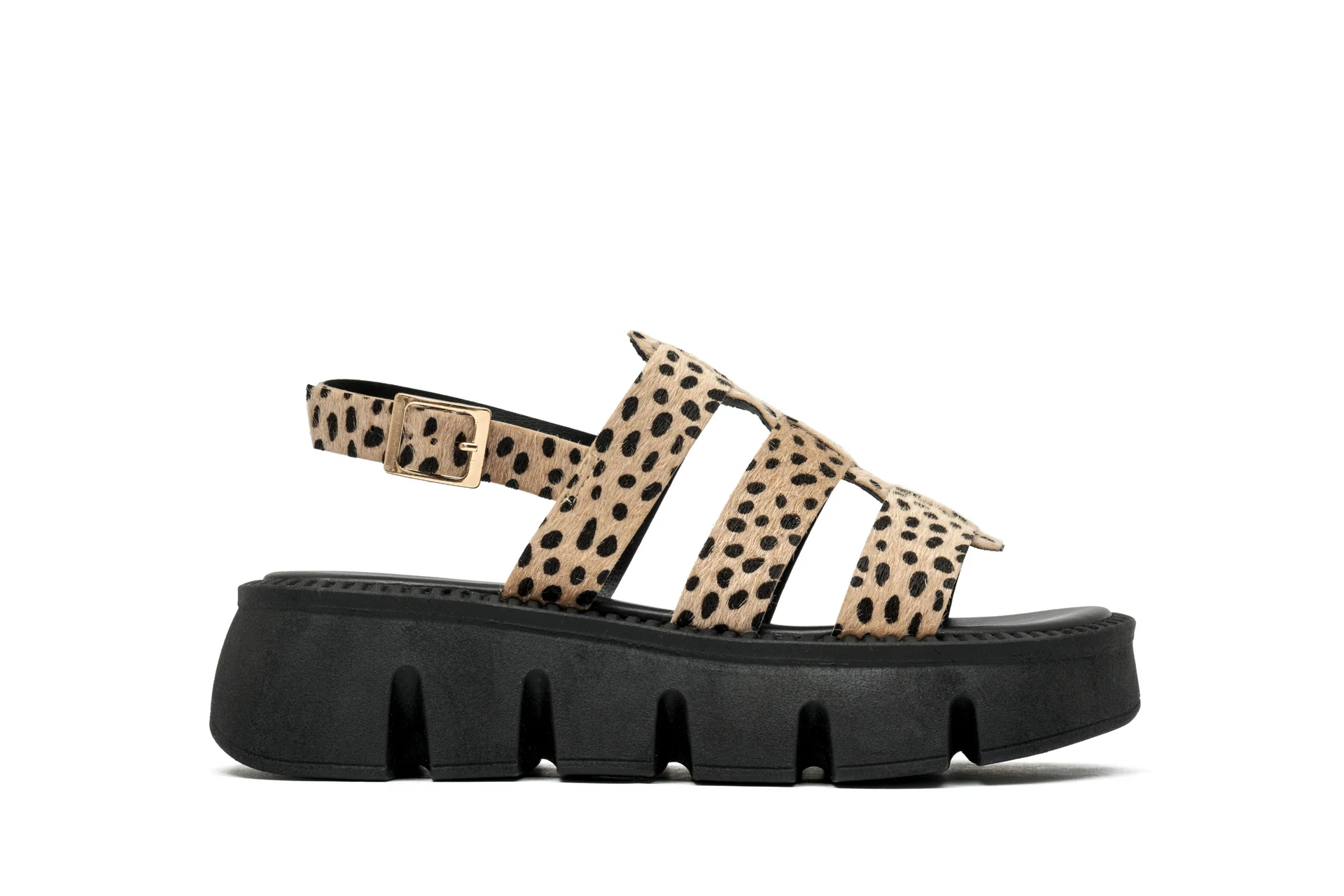 [1120] DANILA CHEETAH 35