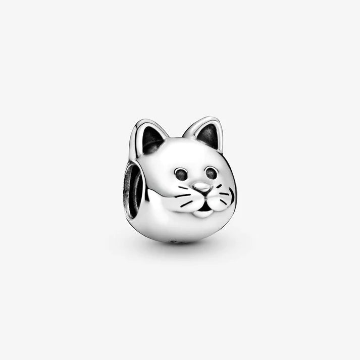 Curious Cat
