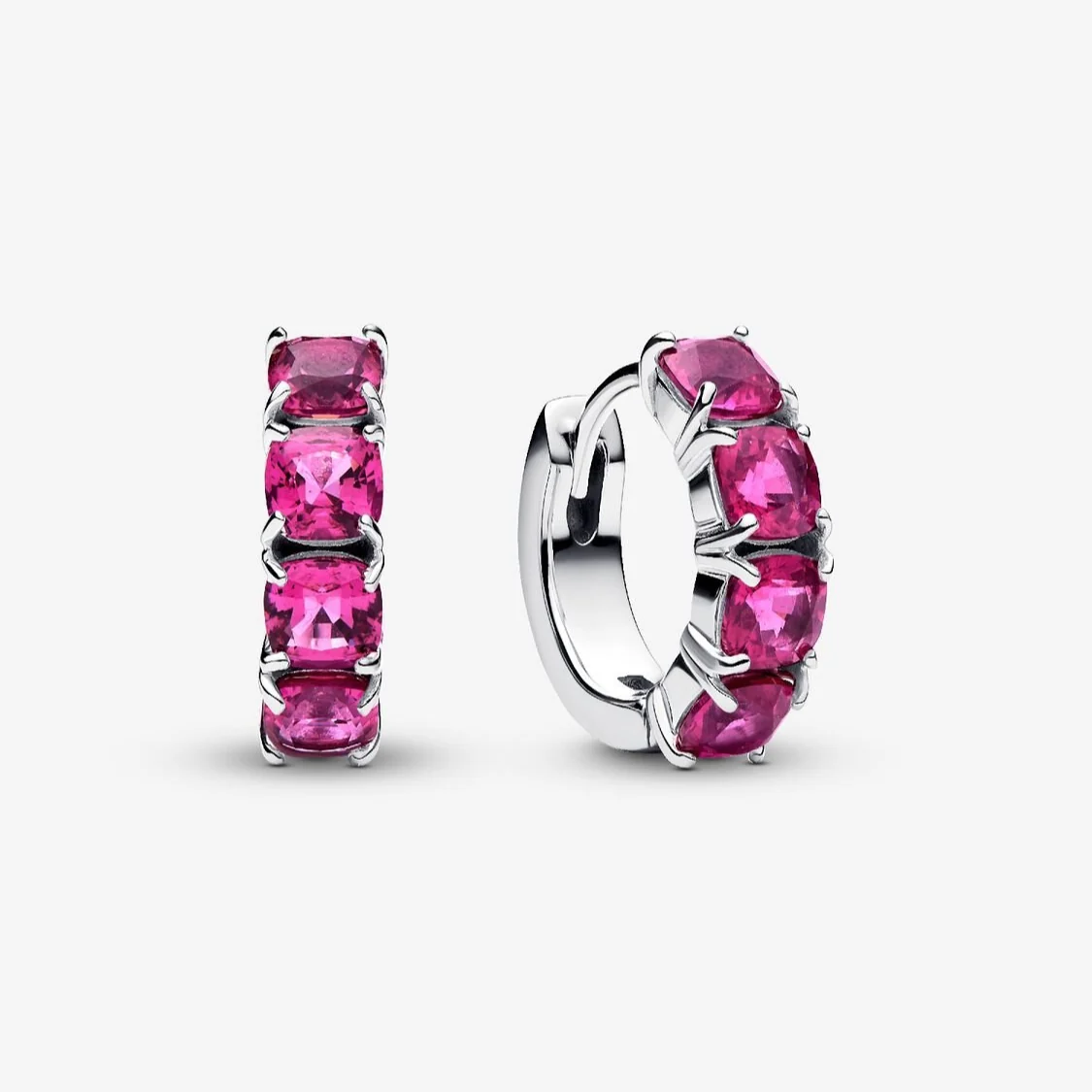 [13079] Pink Hoop