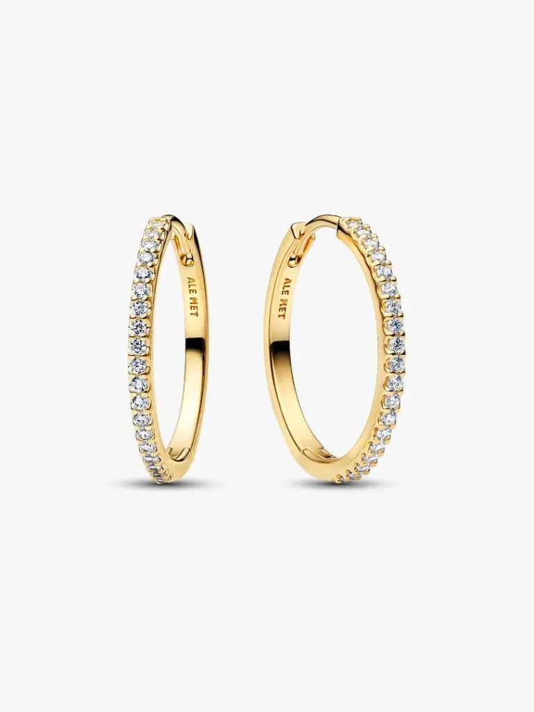 [99189] Sparkling Hoop Earrings Shine
